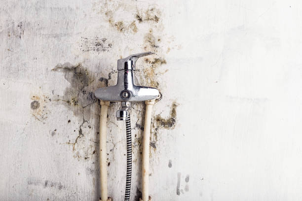 Best DIY Mold Remediation Support Services in Tularosa, NM