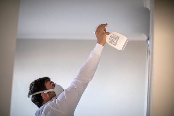 Best Industrial Mold Remediation in Tularosa, NM