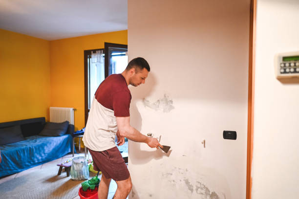 Best Crawl Space Mold Remediation in Tularosa, NM